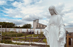 Garden of good and plenty provides food to those in need, thanks to Vincentians, Bethany Beach parishes — Photo gallery