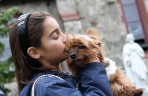 What do we tell children when they ask if animals go to heaven? — Paul Thigpen