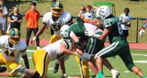 All four football-playing Catholic high schools in Diocese of Wilmington reach DIAA tournaments