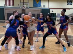 Basketball takes center stage for Catholic high school teams in Diocese of Wilmington