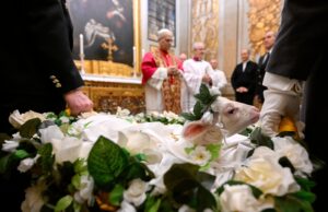In a moment of Vatican sweetness, Pope Leo XIV receives lambs in ancient St. Agnes tradition
