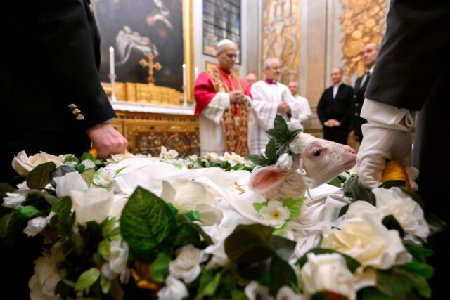 POPE LEO XIV BLESSES ST. AGNES LAMBS