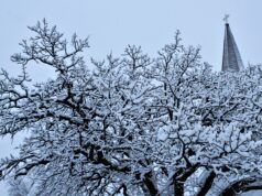 Megastorm predicted for Sunday could create mayhem for local parishes; kids will be watching for Monday school news