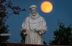 St. Francis of Assisi saw the splendor, goodness and generosity of God in the environment