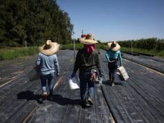 U.S. bishops oppose proposed limits on housing, work permits for asylum-seekers and other migrants