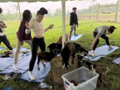 ‘Ferris Bueller’ and other kids greet St. Elizabeth School students at goat yoga in Wilmington: Photo gallery