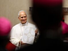 Pope Leo corrects AI when it tried to tell him Francis is the current pontiff: ‘I think there is another Pope now’