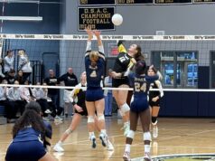 Padua Academy volleyball gets balanced attack in sweep of Delaware Military Academy: Photo gallery