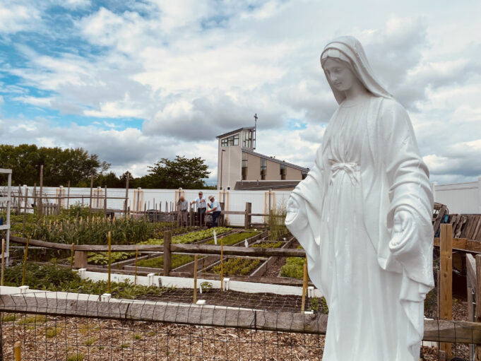 Garden of good and plenty provides food to those in need, thanks to Vincentians, Bethany Beach parishes — Photo gallery