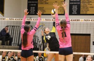 Padua Academy stages stirring volleyball comeback against Newark Charter High School: Photo gallery