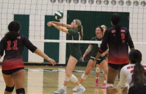 Archmere Academy leads four Catholic high schools into DIAA volleyball tournament