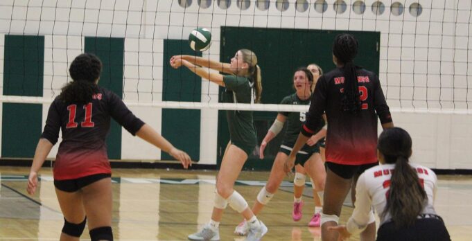 Archmere Academy leads four Catholic high schools into DIAA volleyball tournament