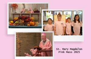 St. Mary Magdalen Church and school in Wilmington raise money for awareness of breast cancer