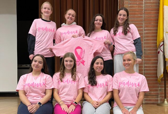 Pandagram Multiple pictures (1640 x 800 px) (1640 x 650 px) (164