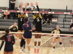 Newark Charter High School powers past Padua Academy in DIAA volleyball tournament: Photo gallery