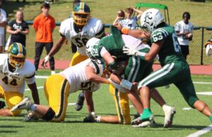 All four football-playing Catholic high schools in Diocese of Wilmington reach DIAA tournaments