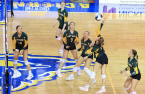 Saint Mark’s falls to Tower Hill in DIAA volleyball championship: Photo gallery