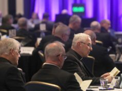 Bishops issue pastoral message on immigration, elect USCCB secretary, approve ERDs: ‘We’re pastors … we care about the people we serve’