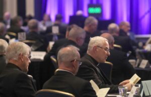 U.S. bishops overwhelmingly back ban on ‘gender interventions’ by Catholic health care services