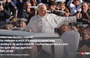 Full text of Pope Leo XIV’s Nov. 19 general audience: ‘Listen to the voice of those who have no voice’