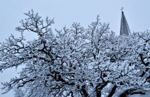 Megastorm predicted for Sunday could create mayhem for local parishes; kids will be watching for Monday school news
