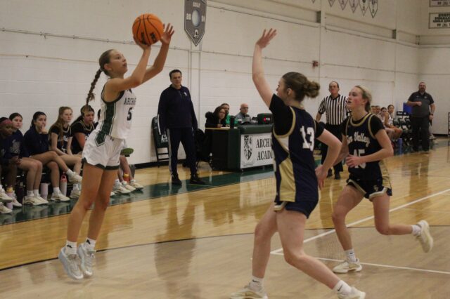 Auks Vanguards WBB26 5