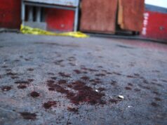 Álvaro Meneses González, 20, shot dead while painting chapel in Puebla, Mexico; Leaders pray ‘spiral of revenge, hatred may be broken’