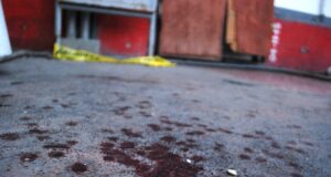 Álvaro Meneses González, 20, shot dead while painting chapel in Puebla, Mexico; Leaders pray ‘spiral of revenge, hatred may be broken’