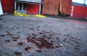 Álvaro Meneses González, 20, shot dead while painting chapel in Puebla, Mexico; Leaders pray ‘spiral of revenge, hatred may be broken’