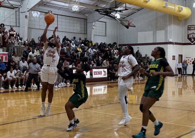 Overpowering defense leads way in St. Elizabeth High School’s girls basketball DIAA tournament win: Photo gallery