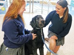 Therapy dog Hattie Mae brings comfort, calm to students at Helias Catholic High School: ‘They all get some joy’