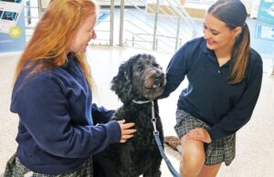 Therapy dog Hattie Mae brings comfort, calm to students at Helias Catholic High School: ‘They all get some joy’