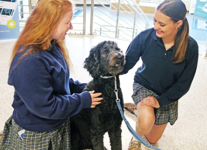 Therapy dog Hattie Mae brings comfort, calm to students at Helias Catholic High School: ‘They all get some joy’