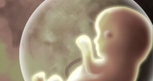 From Kermit Gosnell’s crimes to signs of hope, reflecting on life and choice