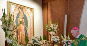 Magnifica Humanitas explores being human in age of Artificial Intelligence — Bishop John P. Dolan, Diocese of Phoenix