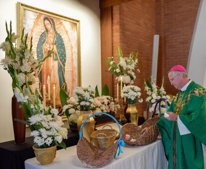 Bishop John P. Dolan says clergy can play key role in mental health support: ‘They are on the front lines’
