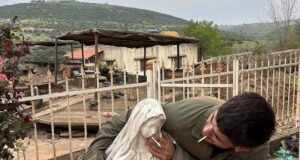 Israeli soldiers punished after desecration of Virgin Mary statue in Lebanon