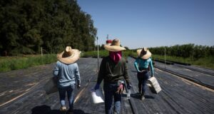 U.S. bishops oppose proposed limits on housing, work permits for asylum-seekers and other migrants