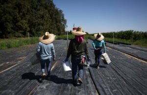 U.S. bishops oppose proposed limits on housing, work permits for asylum-seekers and other migrants