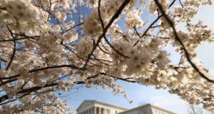 Supreme Court blocks ruling that paused mailing of abortion pill mifepristone