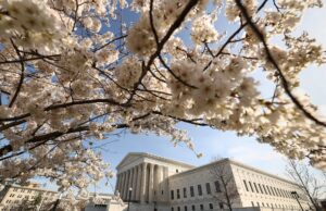 Supreme Court blocks ruling that paused mailing of abortion pill mifepristone