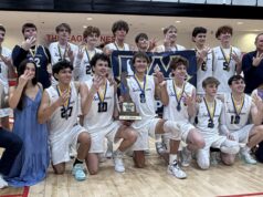 Salesianum School fights off challenge from Cape Henlopen High School for DIAA boys volleyball championship: Photo gallery