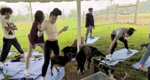 ‘Ferris Bueller’ and other kids greet St. Elizabeth School students at goat yoga in Wilmington: Photo gallery