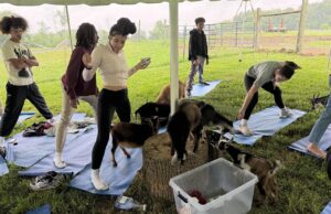 ‘Ferris Bueller’ and other kids greet St. Elizabeth School students at goat yoga in Wilmington: Photo gallery
