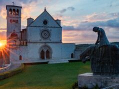 Saint Francis and embracing a ‘culture of life’ — MaryAnn Wallen, director, Respect Life Office, Diocese of Wilmington