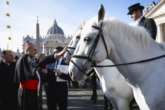 BLESSING ANIMALS VATICAN CARDINAL GAMBETTI