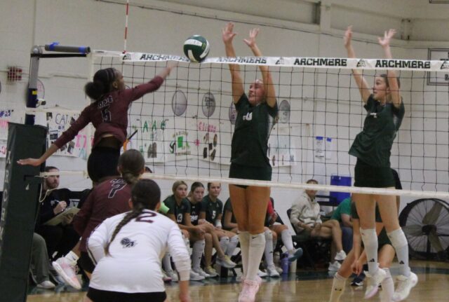 Auks Jaguars VB26 8